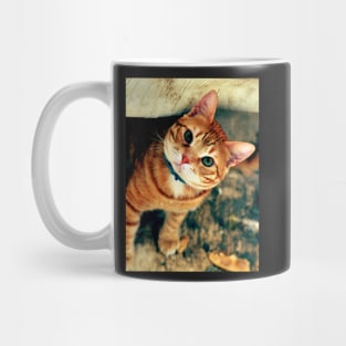 male cat Mug